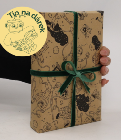 Nejlepší dárek pod stromečkem? Rozhodně knížka