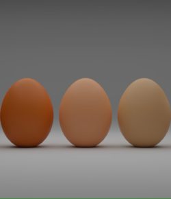 Velký vajíčkový průvodce