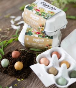 Semínkové bomby vám domů přinesou jaro