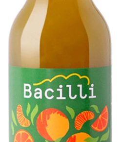 Matcha, jak ji neznáte. Ochutnejte fermentované limonády